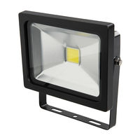 Projecteur LED COB