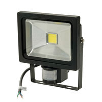 Projecteur LED COB