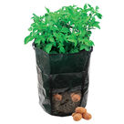 Acheter Silverline - Sac de culture pour pommes de terre au meilleur prix