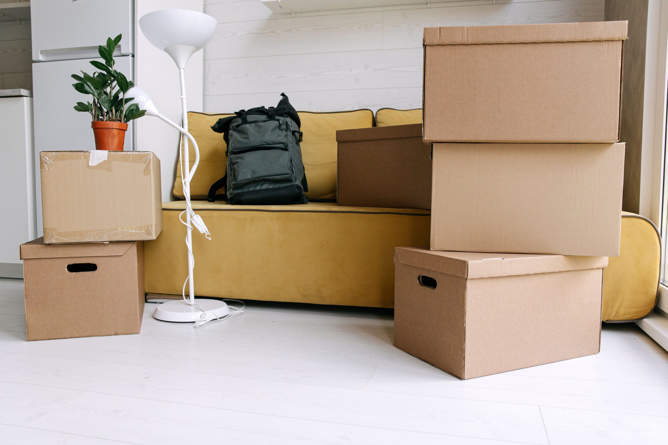Cartons et sac à dos dans salon jour demenagement
